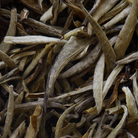 JASMIN IMPERIAL biely čaj - 50 g